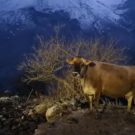 Гостевой дом Taberna De Тревизо