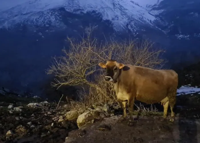 Casa de hóspedes Taberna De Tresviso